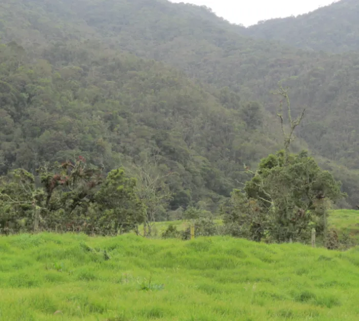 Potencial de sistemas preincaicos de siembra y cosecha de agua en los Andes
