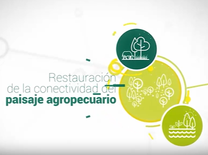 Restauración de la conectividad del paisaje agropecuario
